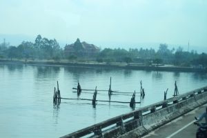 IMG_7919.JPG