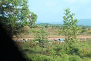 IMG_7934.JPG