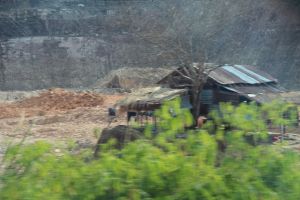 IMG_7940.JPG