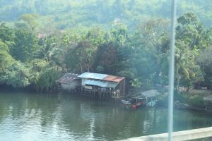 IMG_7959.JPG
