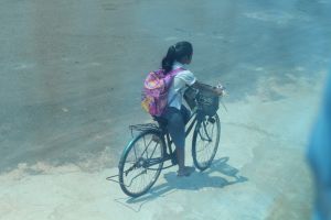 IMG_8141.JPG