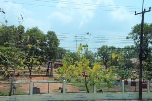 IMG_8175.JPG