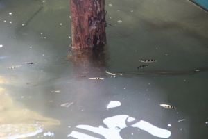 IMG_8199.JPG