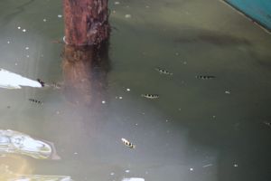 IMG_8200.JPG