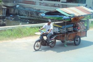 IMG_8217.JPG