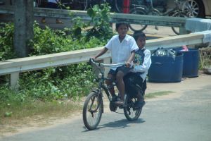 IMG_8219.JPG