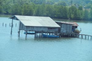 IMG_8259.JPG