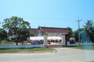 IMG_8265.JPG