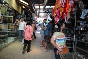 IMG_8269.JPG