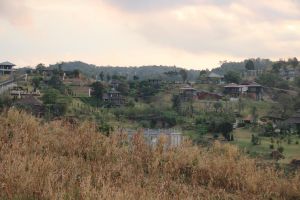 IMG_6643.JPG