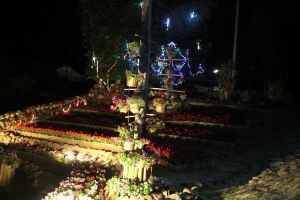 IMG_6687.JPG