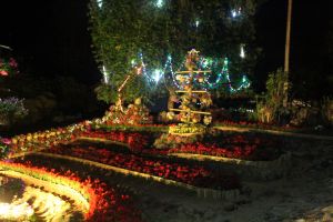 IMG_6689.JPG