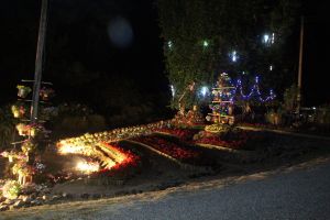 IMG_6693.JPG