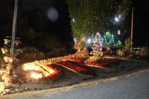 IMG_6694.JPG