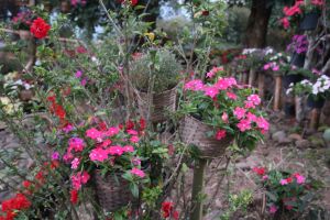 IMG_6705.JPG