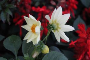 IMG_6706.JPG