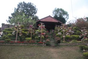IMG_6708.JPG