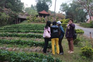 IMG_6713.JPG