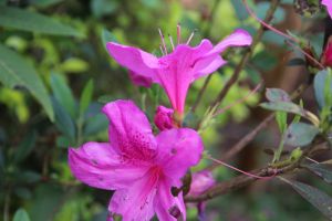 IMG_6741.JPG