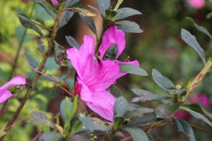 IMG_6742.JPG