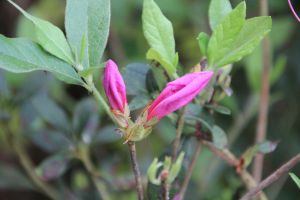 IMG_6743.JPG