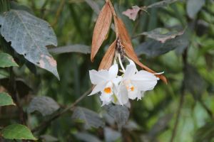 IMG_6746.JPG