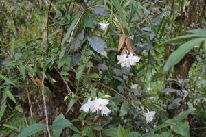 IMG_6747.JPG