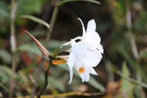 IMG_6748.JPG