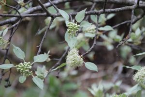 IMG_6752.JPG