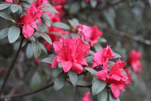 IMG_6770.JPG