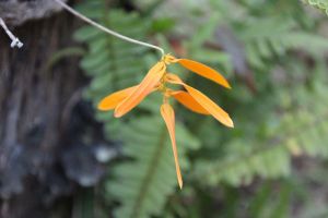 IMG_6772.JPG