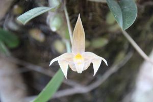 IMG_6773.JPG