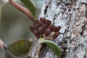IMG_6775.JPG