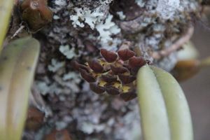 IMG_6776.JPG