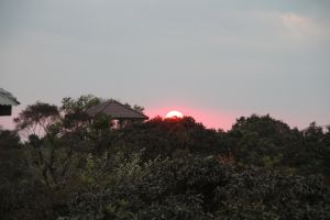 IMG_6783.JPG