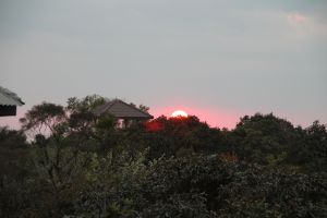 IMG_6784.JPG