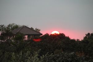 IMG_6785.JPG