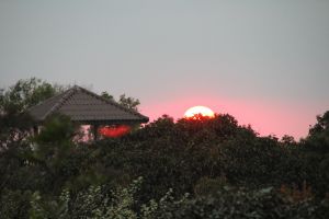 IMG_6786.JPG