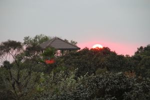 IMG_6787.JPG