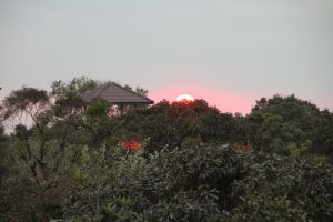 IMG_6788.JPG
