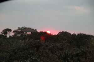 IMG_6789.JPG
