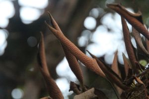 IMG_6809.JPG