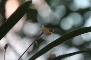 IMG_6827.JPG