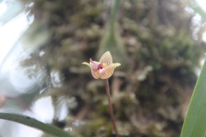 IMG_6828.JPG
