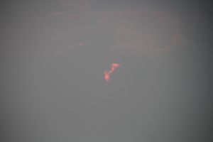 IMG_6829.JPG