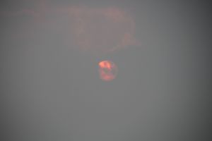 IMG_6831.JPG