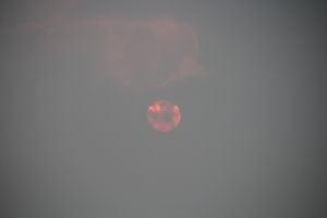 IMG_6832.JPG