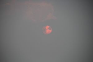 IMG_6833.JPG