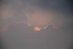 IMG_6835.JPG