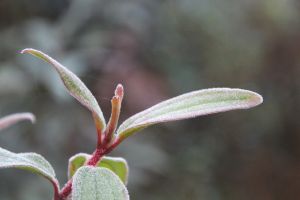 IMG_6838.JPG